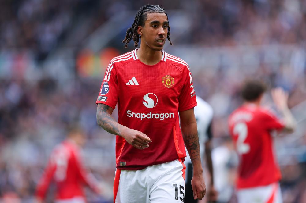 不仅提升了 不仅提升了