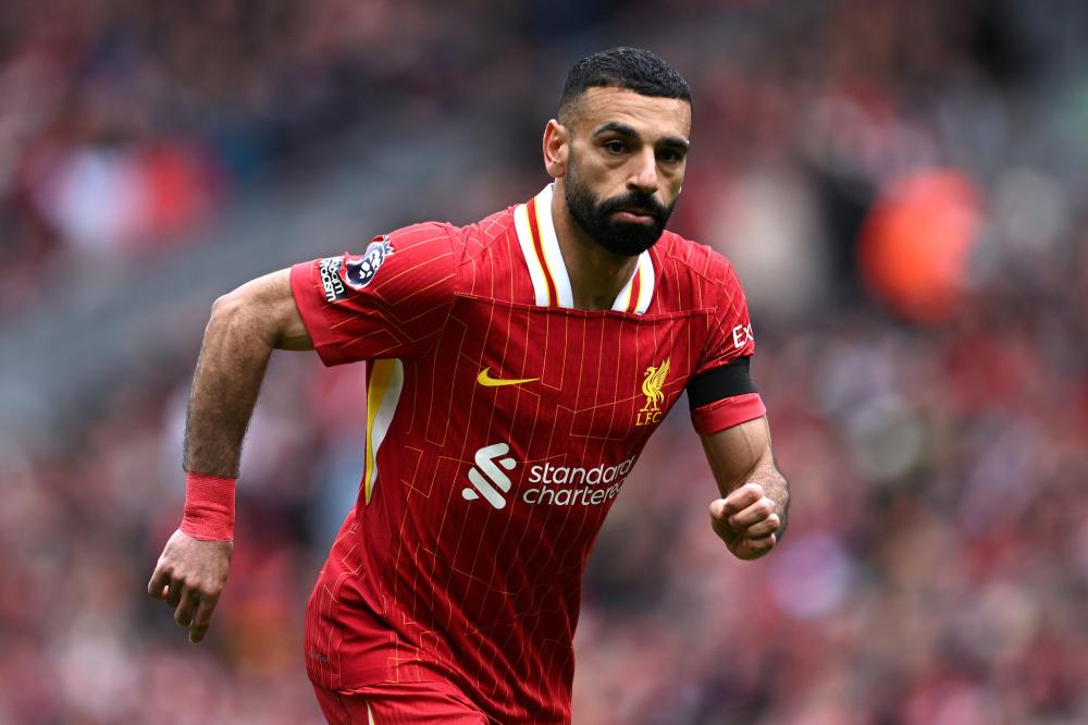 术体系发生 术体系发生